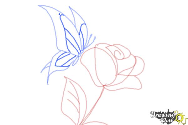 How to Draw a Butterfly On a Flower - Step 8 How to Draw a Butterfly On a Flower - Step 8