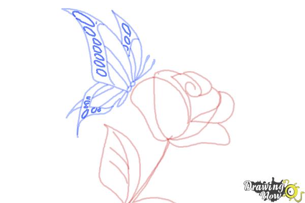 How to Draw a Butterfly On a Flower - Step 9 How to Draw a Butterfly On a Flower - Step 9