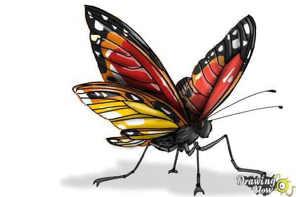 How to Draw a Butterfly Step by Step - Step 9 How to Draw a Butterfly Step by Step - Step 9
