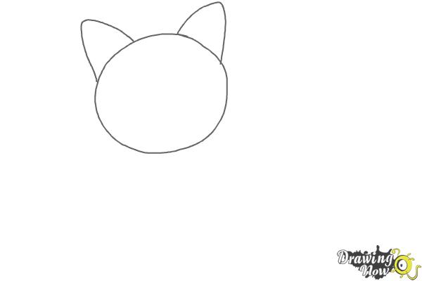 How to Draw a Cat - Step 1 How to Draw a Cat - Step 1