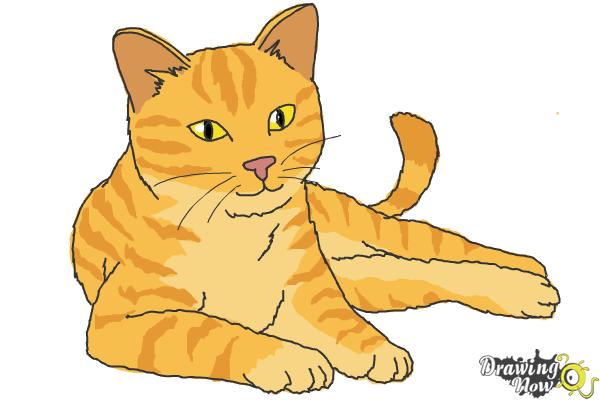 How to Draw a Cat - Step 10 How to Draw a Cat - Step 10