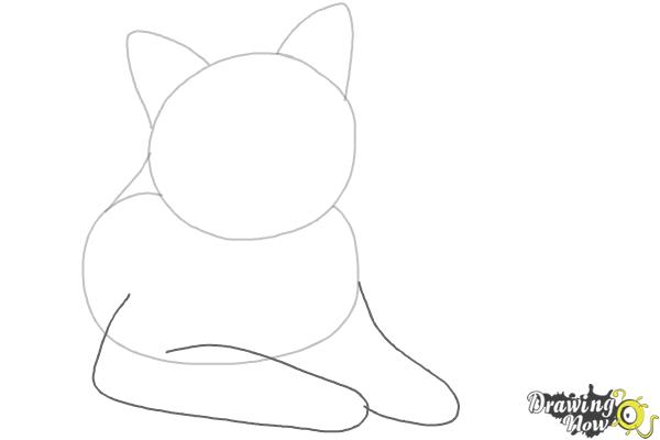 How to Draw a Cat - Step 3 How to Draw a Cat - Step 3