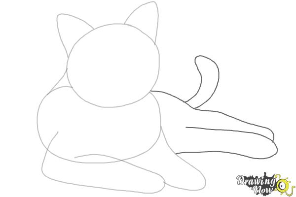 How to Draw a Cat - Step 4 How to Draw a Cat - Step 4
