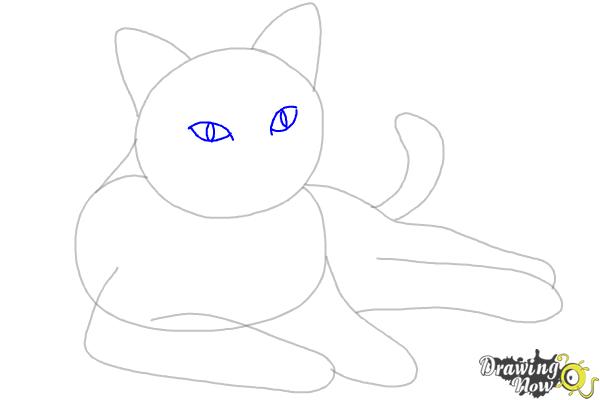 How to Draw a Cat - Step 5 How to Draw a Cat - Step 5