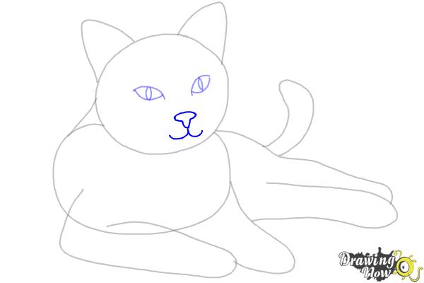 How to Draw a Cat - Step 6 How to Draw a Cat - Step 6