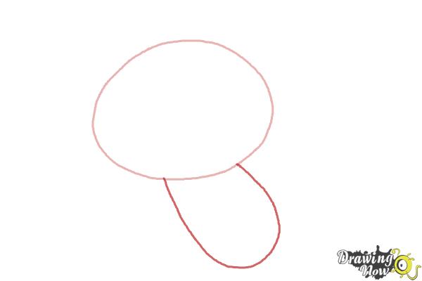 How to Draw a Cat Step by Step - Step 2 How to Draw a Cat Step by Step - Step 2