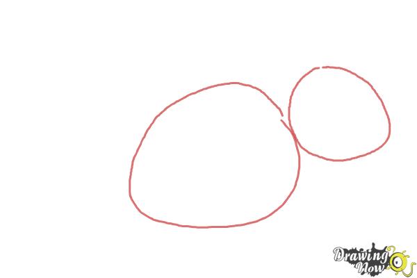 How to Draw a Chinchilla - Step 1 How to Draw a Chinchilla - Step 1