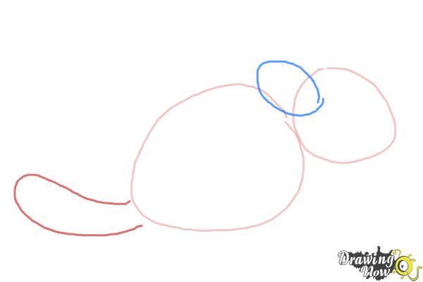 How to Draw a Chinchilla - Step 2 How to Draw a Chinchilla - Step 2