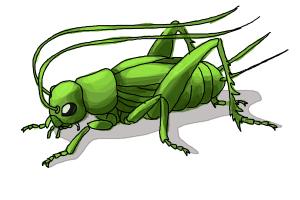 How to Draw a Cricket