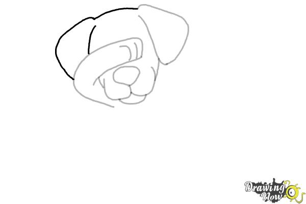How to Draw a Cute Dog Dabbing - Step 6 How to Draw a Cute Dog Dabbing - Step 6