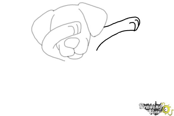 How to Draw a Cute Dog Dabbing - Step 7 How to Draw a Cute Dog Dabbing - Step 7