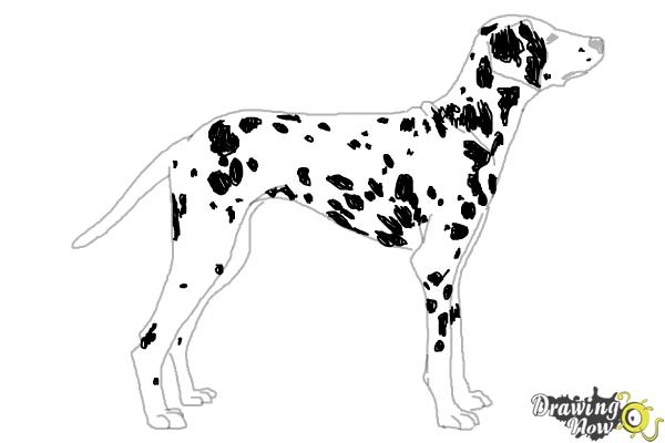 Coloring Page