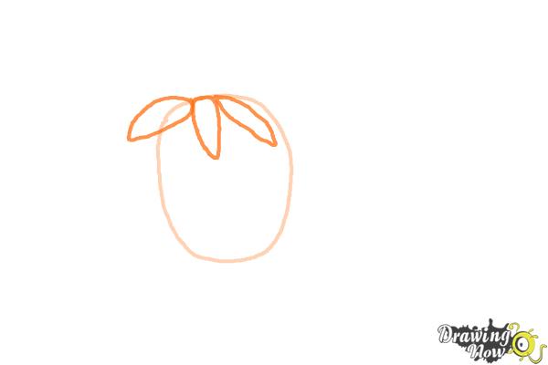 How to Draw a Dead Rose - Step 2 How to Draw a Dead Rose - Step 2