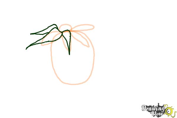 How to Draw a Dead Rose - Step 4 How to Draw a Dead Rose - Step 4