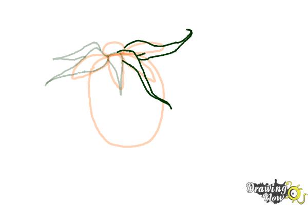 How to Draw a Dead Rose - Step 5 How to Draw a Dead Rose - Step 5