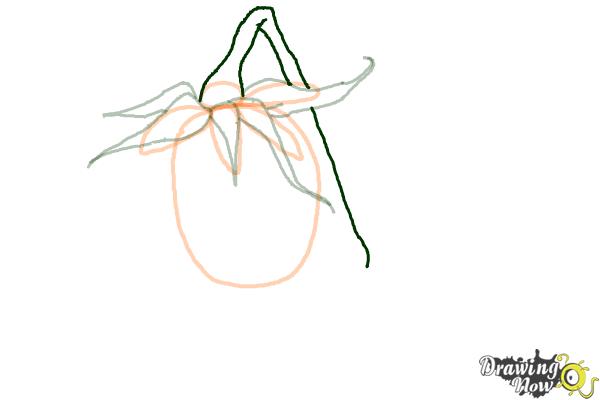 How to Draw a Dead Rose - Step 6 How to Draw a Dead Rose - Step 6