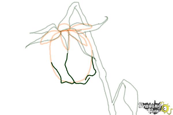 How to Draw a Dead Rose - Step 8 How to Draw a Dead Rose - Step 8