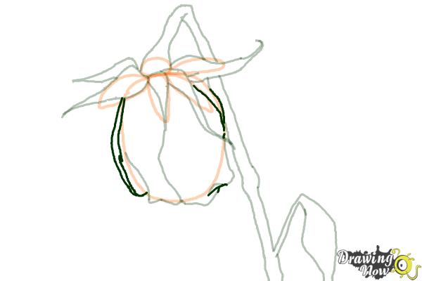 How to Draw a Dead Rose - Step 9 How to Draw a Dead Rose - Step 9