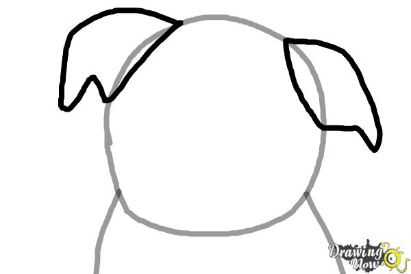 How to Draw a Dog Face - Step 2 How to Draw a Dog Face - Step 2