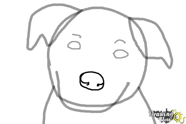 How to Draw a Dog Face - Step 4 How to Draw a Dog Face - Step 4
