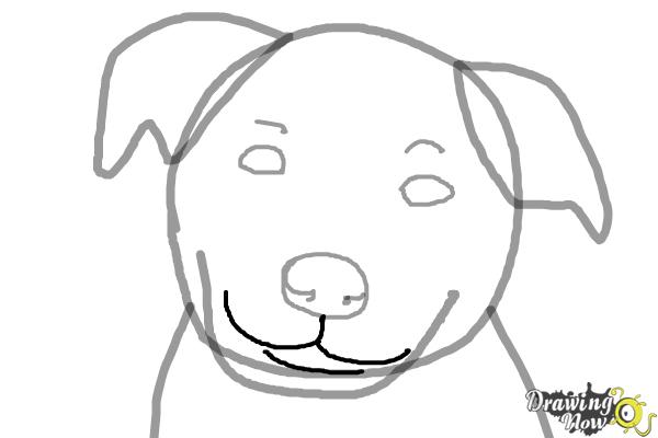 How to Draw a Dog Face - Step 5 How to Draw a Dog Face - Step 5