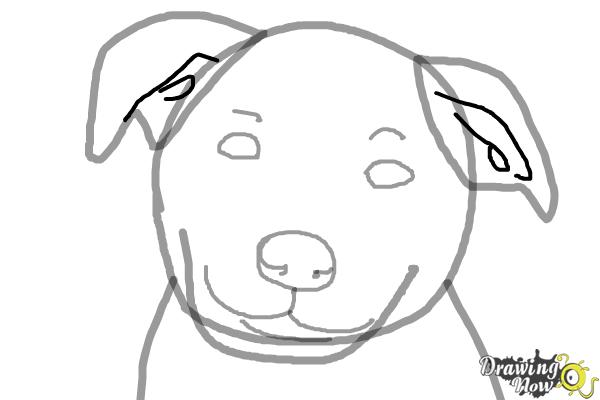 How to Draw a Dog Face - Step 6 How to Draw a Dog Face - Step 6