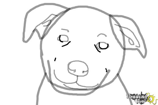 How to Draw a Dog Face - Step 7 How to Draw a Dog Face - Step 7
