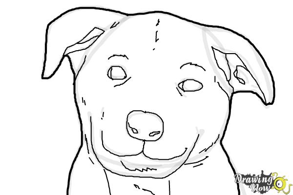 How to Draw a Dog Face - Step 8 How to Draw a Dog Face - Step 8
