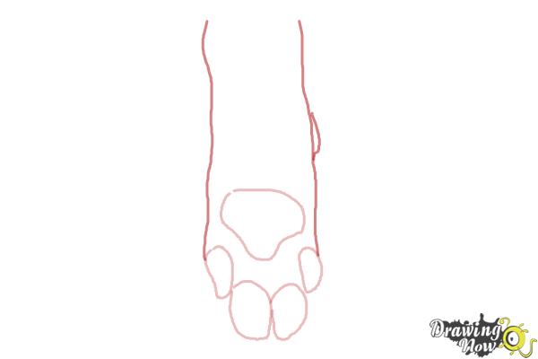 How to Draw a Dog Paw - Step 4 How to Draw a Dog Paw - Step 4