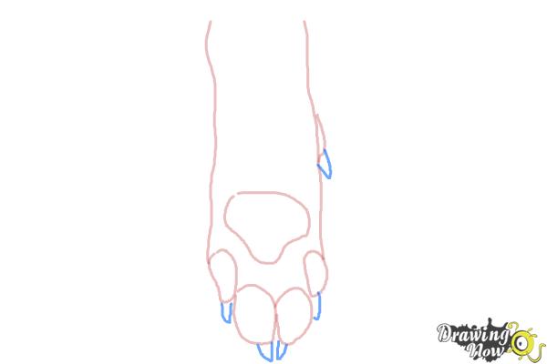 How to Draw a Dog Paw - Step 5 How to Draw a Dog Paw - Step 5