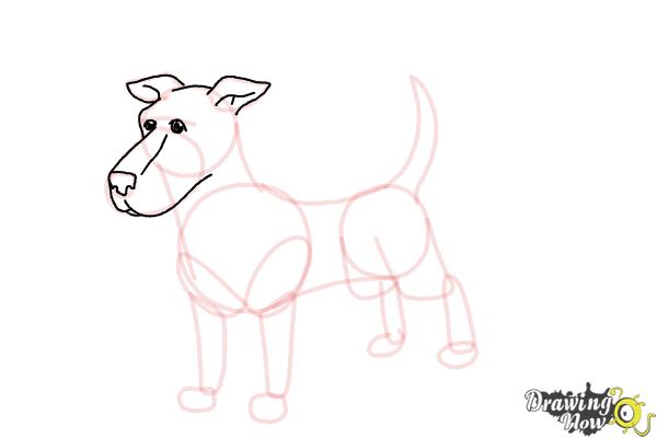 How to Draw a Dog Step by Step - Step 7 How to Draw a Dog Step by Step - Step 7