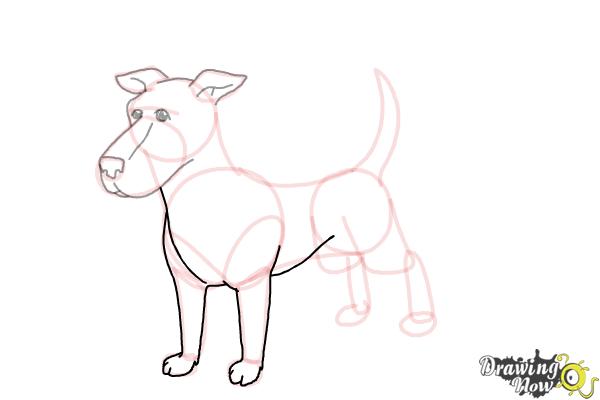 How to Draw a Dog Step by Step - Step 8 How to Draw a Dog Step by Step - Step 8