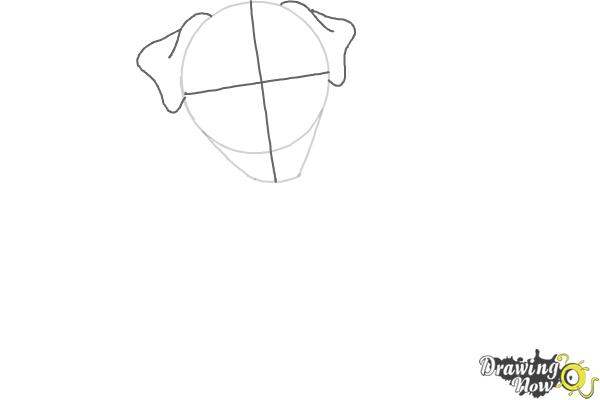 How to Draw a Dog - Step by Step - Step 2 How to Draw a Dog - Step by Step - Step 2