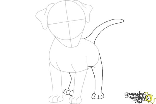 How to Draw a Dog - Step by Step - Step 5 How to Draw a Dog - Step by Step - Step 5