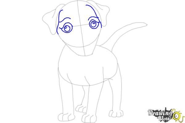 How to Draw a Dog - Step by Step - Step 6 How to Draw a Dog - Step by Step - Step 6