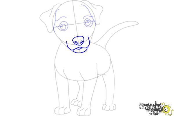 How to Draw a Dog - Step by Step - Step 7 How to Draw a Dog - Step by Step - Step 7