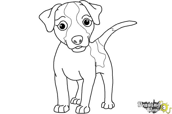 How to Draw a Dog - Step by Step - Step 8 How to Draw a Dog - Step by Step - Step 8