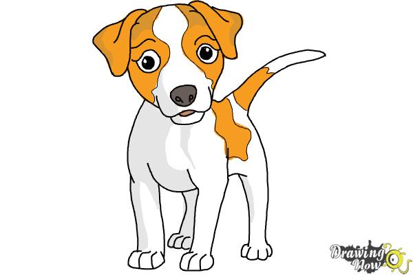 How to Draw a Dog - Step by Step - Step 9 How to Draw a Dog - Step by Step - Step 9