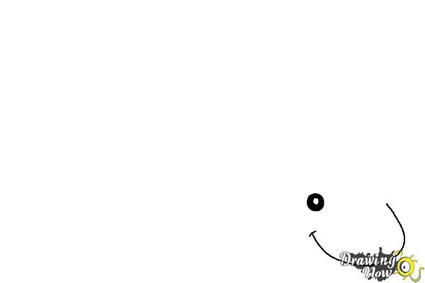 How to Draw a Dolphin - Step 1 How to Draw a Dolphin - Step 1
