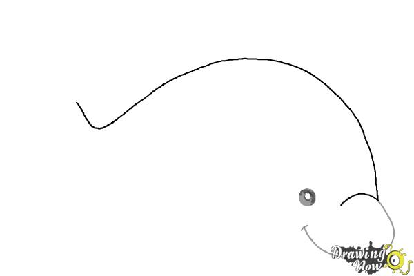 How to Draw a Dolphin - Step 2 How to Draw a Dolphin - Step 2