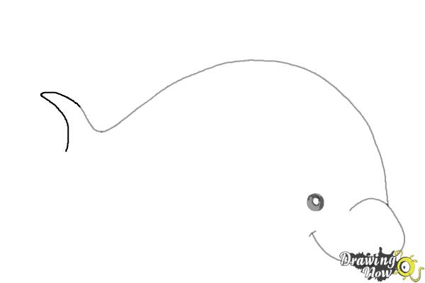 How to Draw a Dolphin - Step 3 How to Draw a Dolphin - Step 3