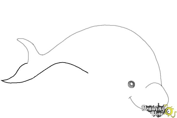 How to Draw a Dolphin - Step 4 How to Draw a Dolphin - Step 4