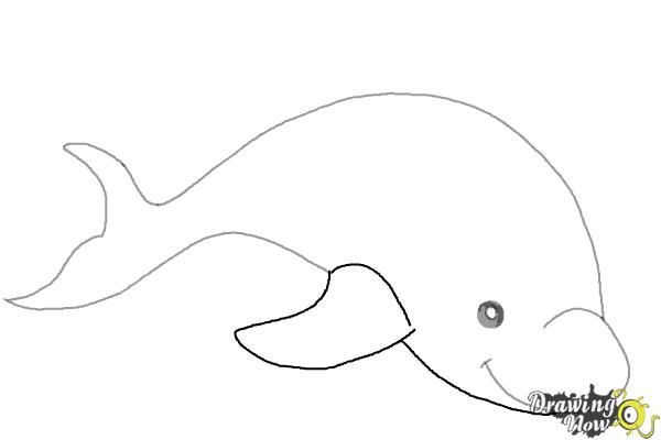 How to Draw a Dolphin - Step 5 How to Draw a Dolphin - Step 5