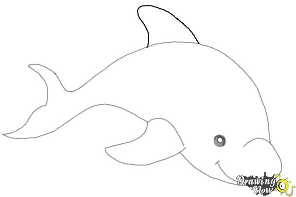 How to Draw a Dolphin - Step 6 How to Draw a Dolphin - Step 6