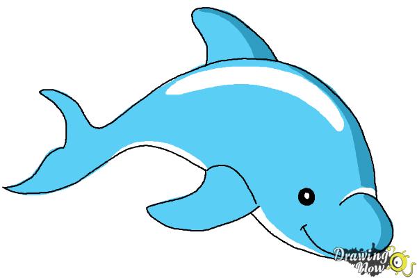 How to Draw a Dolphin - Step 7 How to Draw a Dolphin - Step 7
