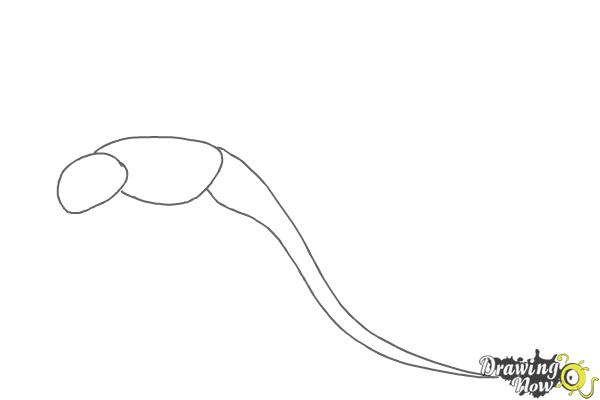 How to Draw a Dragon Step by Step - Step 1 How to Draw a Dragon Step by Step - Step 1