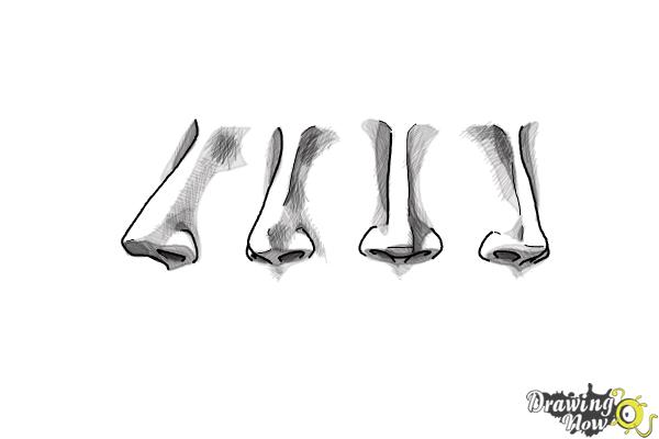 How to Draw a Female Nose - Step 15