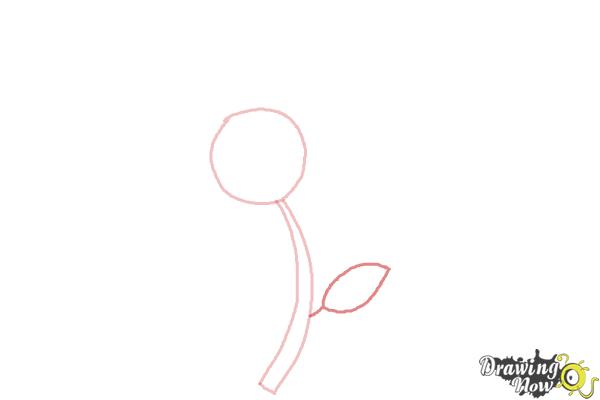 How to Draw a Flower Easy - Step 3 How to Draw a Flower Easy - Step 3