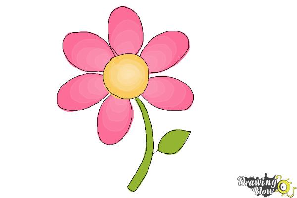 How to Draw a Flower Easy - Step 7 How to Draw a Flower Easy - Step 7
