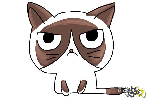How to Draw a Grumpy Cat - Step 10 How to Draw a Grumpy Cat - Step 10
